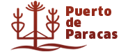 logo p. paracas